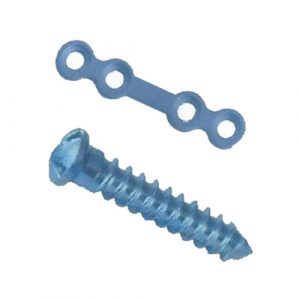 Maxillofacial System